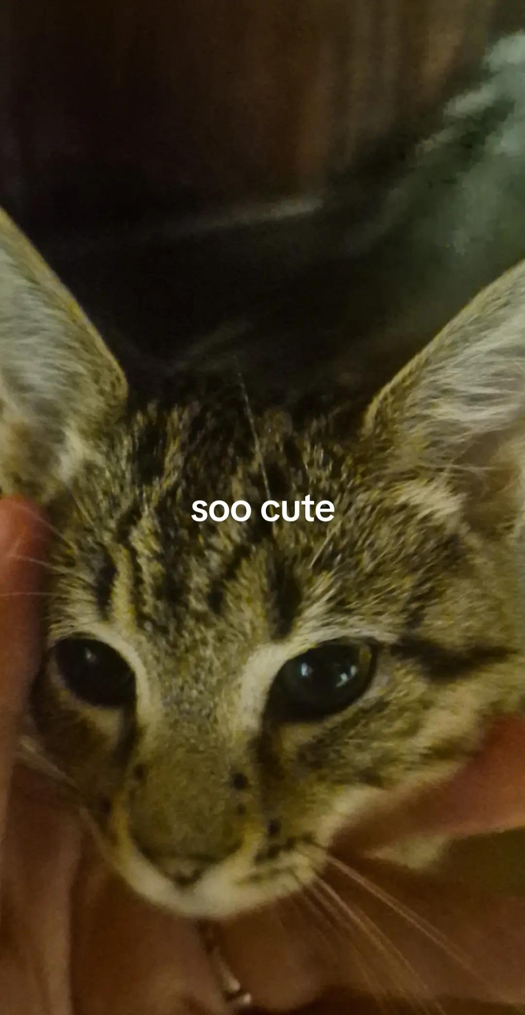 @▄︻デ══━一