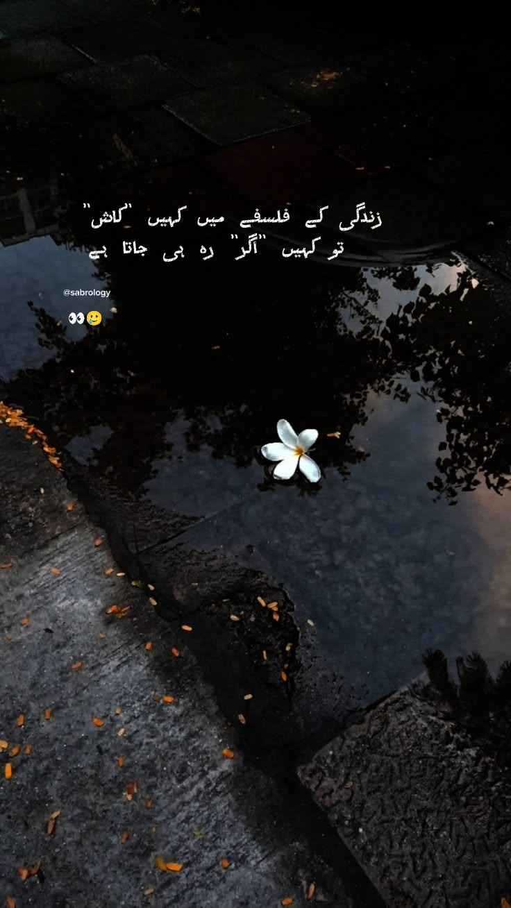 @DreamySorrow