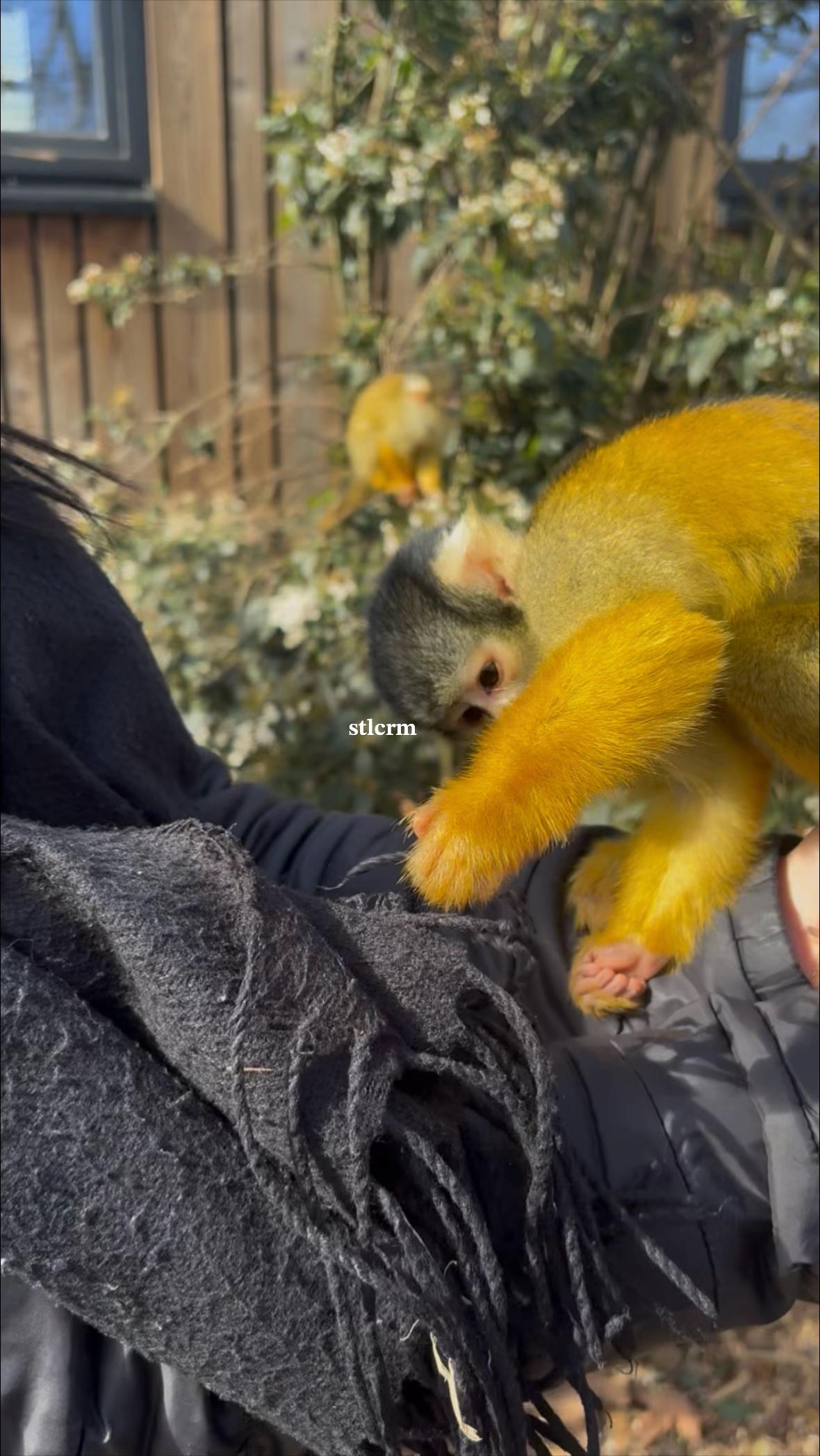@𝐒𝐭𝐞𝐥𝐥𝐚ꨄ