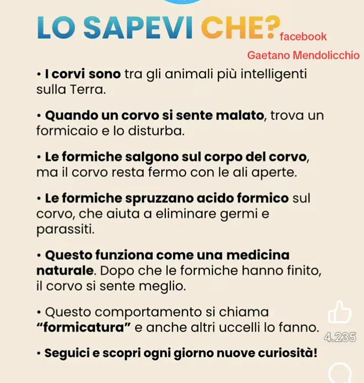 @GAETANO ❤️ 🌹