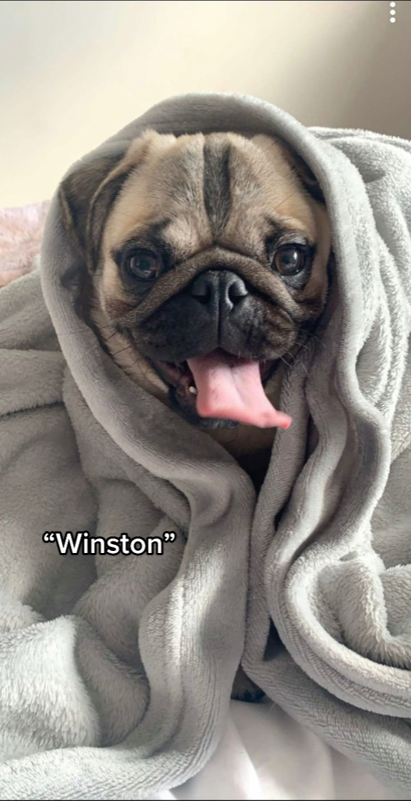 @Winston