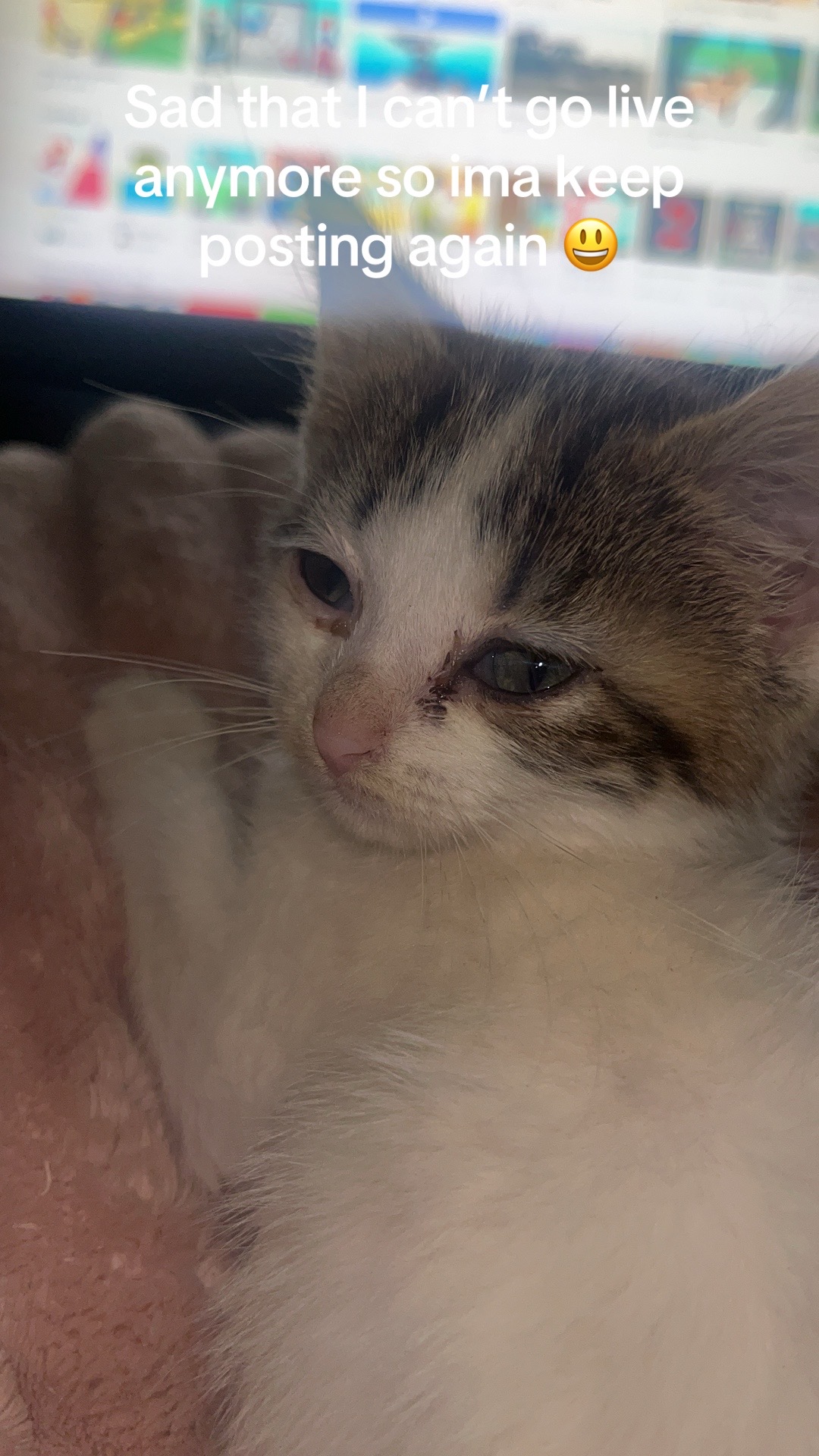 @kittencattuff
