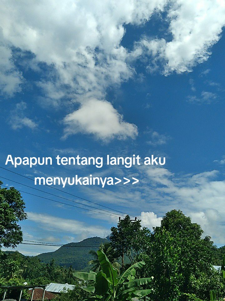 @Mitha Endo