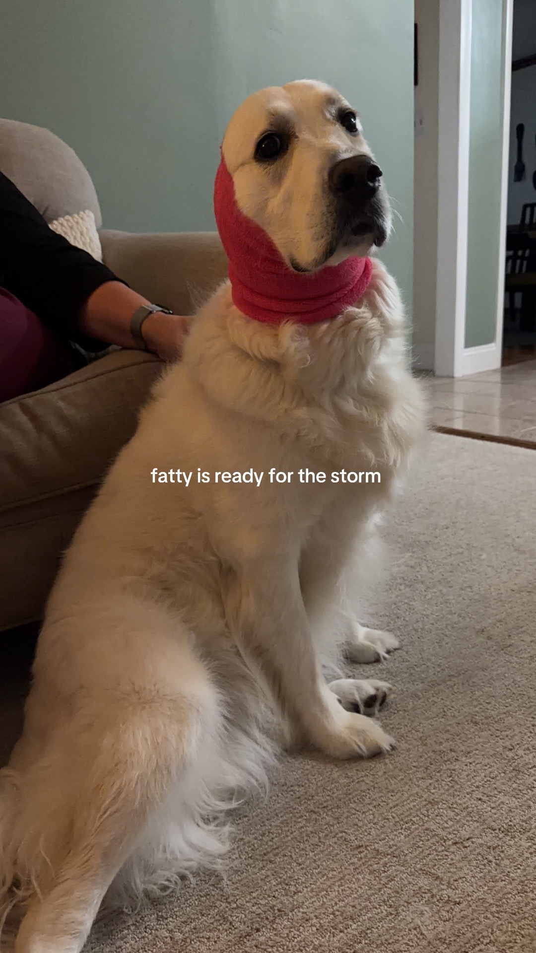 @reagan