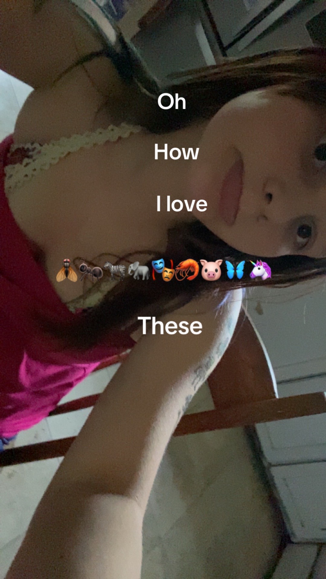 @secretaccount12345🐷🪰🐘🦓🦐🐜