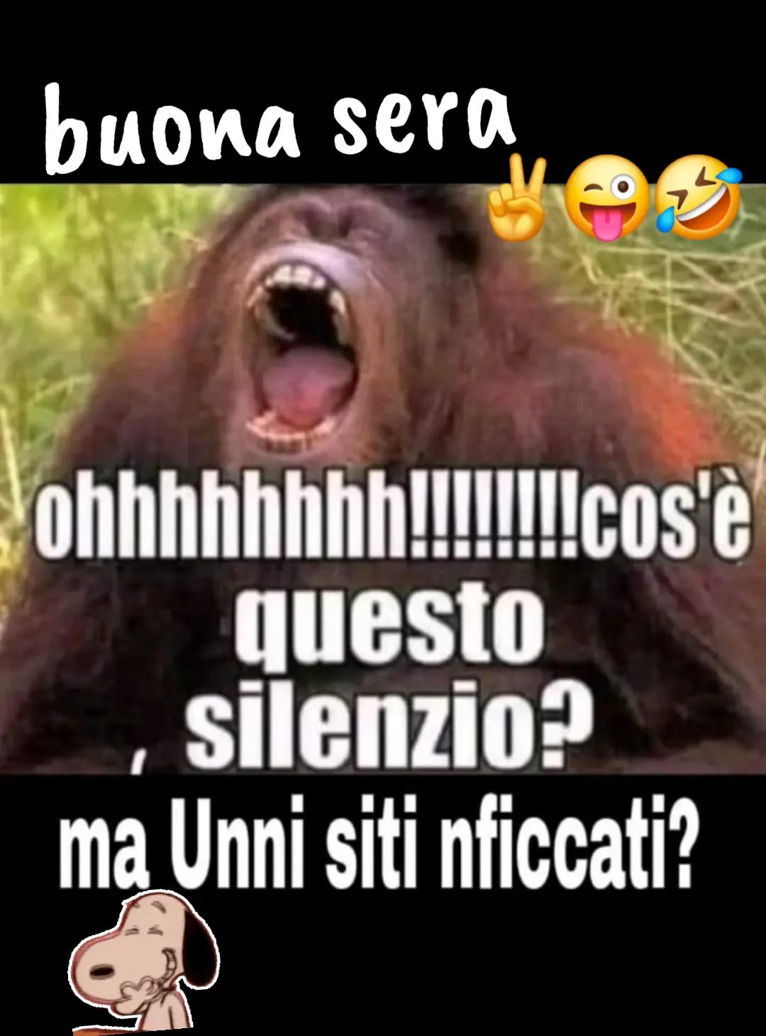 @adrybruno2