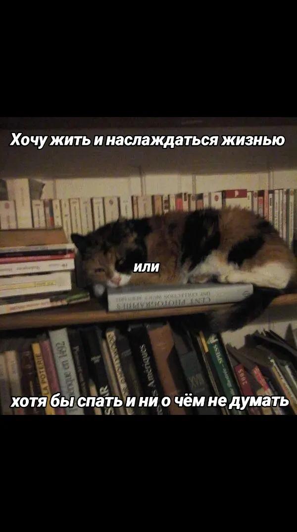 @ynar
