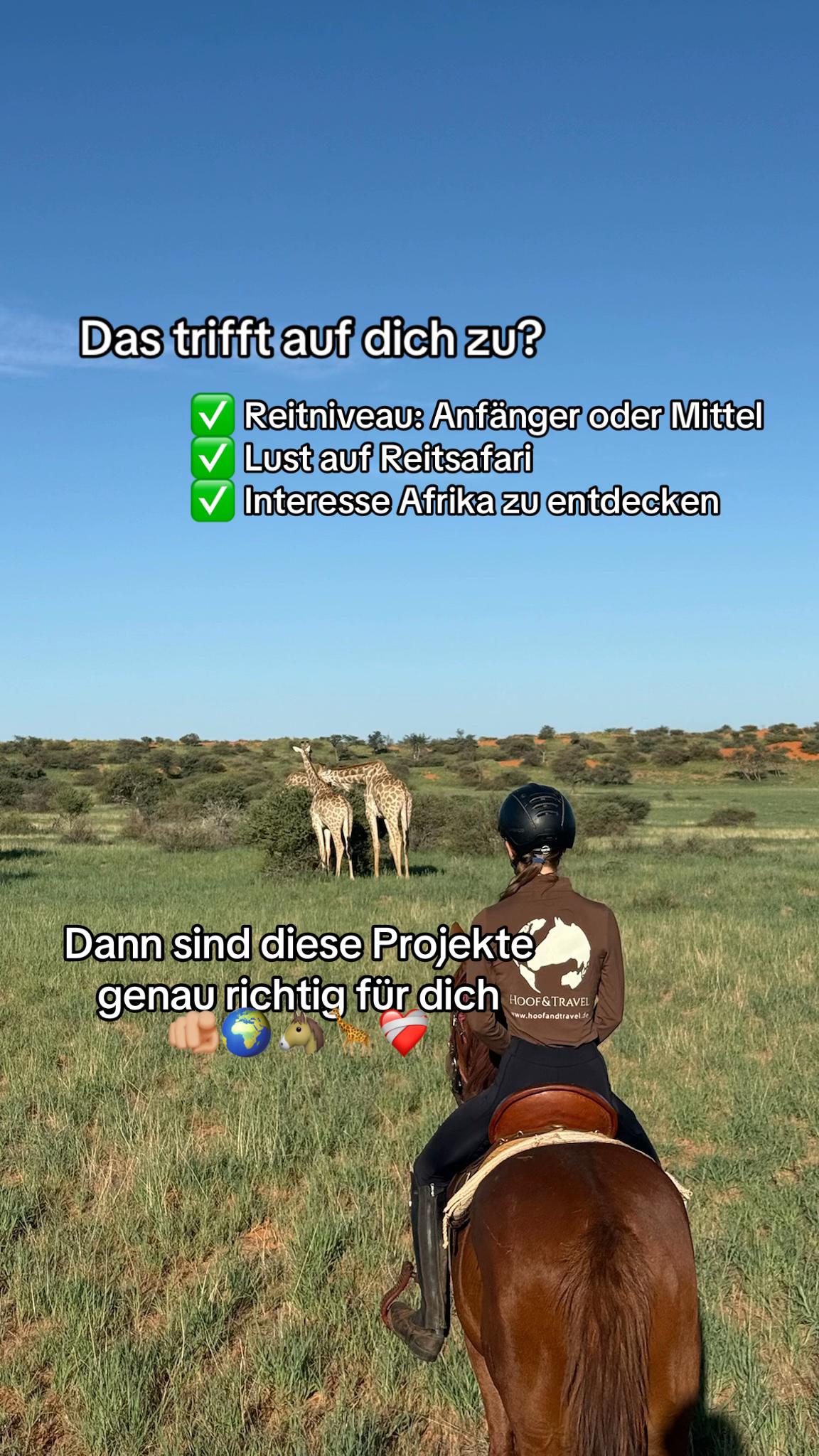 @Hoof & Travel 🐴🌍🐘