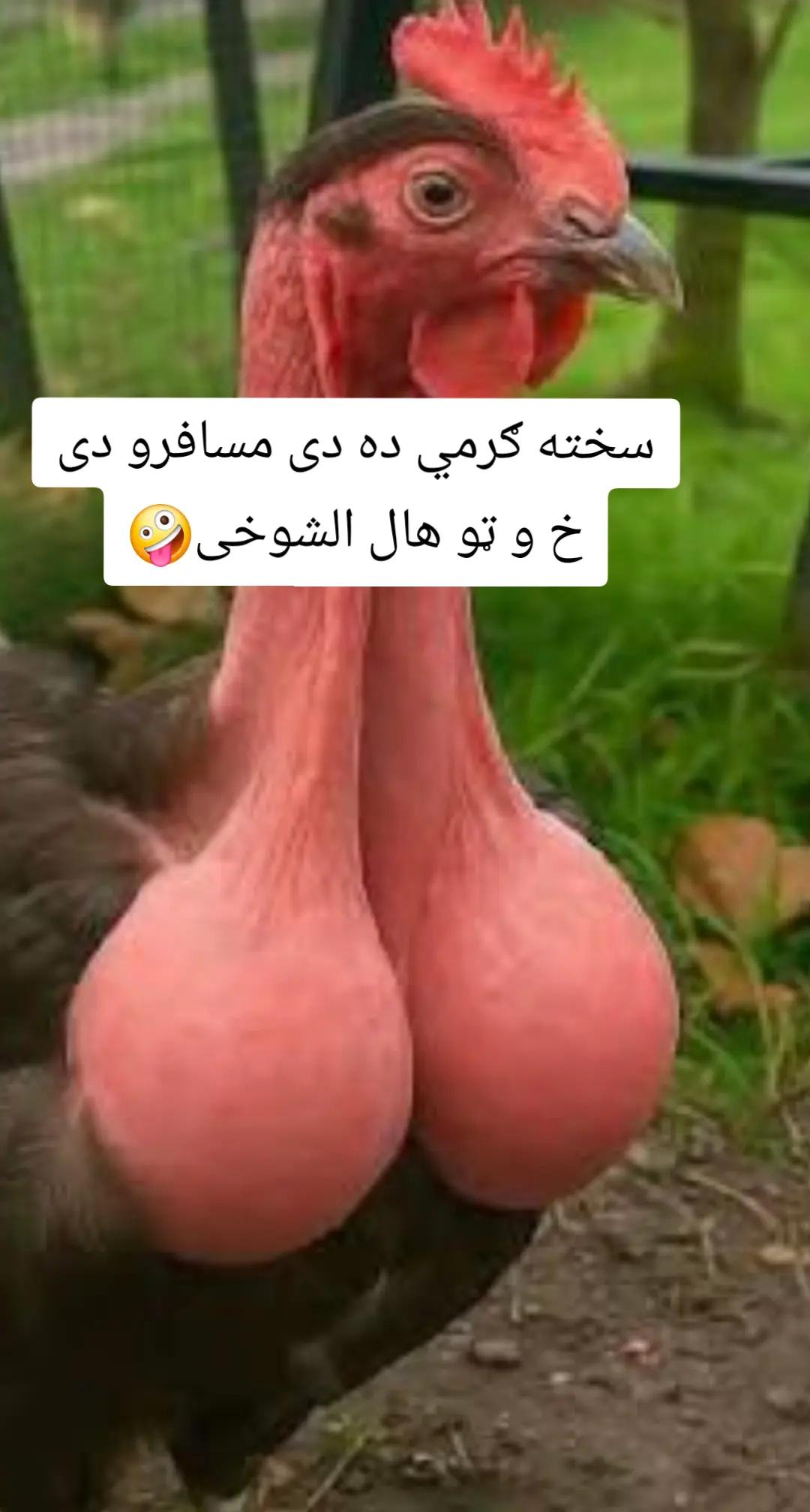 @funny video🤣😂
