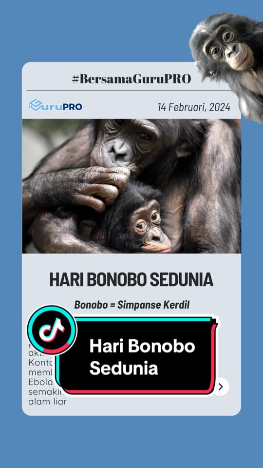 @gurupro.id