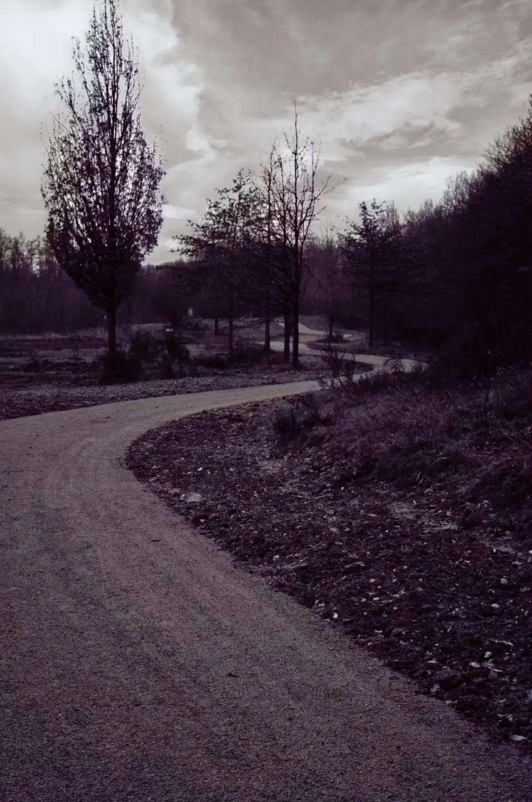 @Bex fotografie