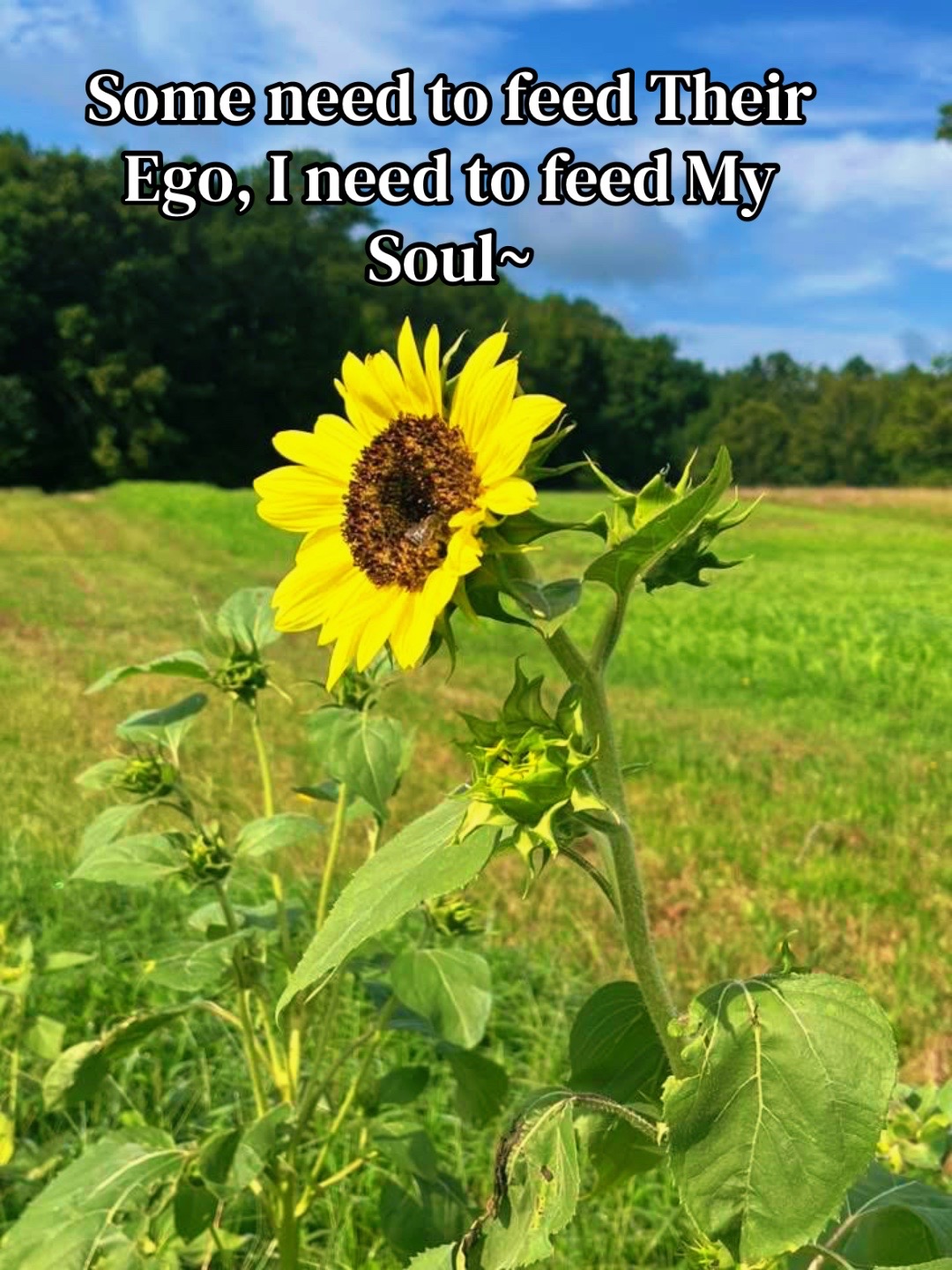 @Stacie~🖤🌻🎶