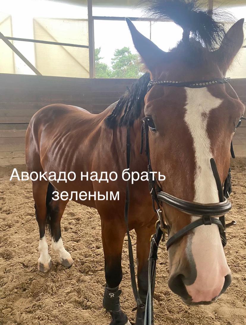 @я полезная как генератор 👍