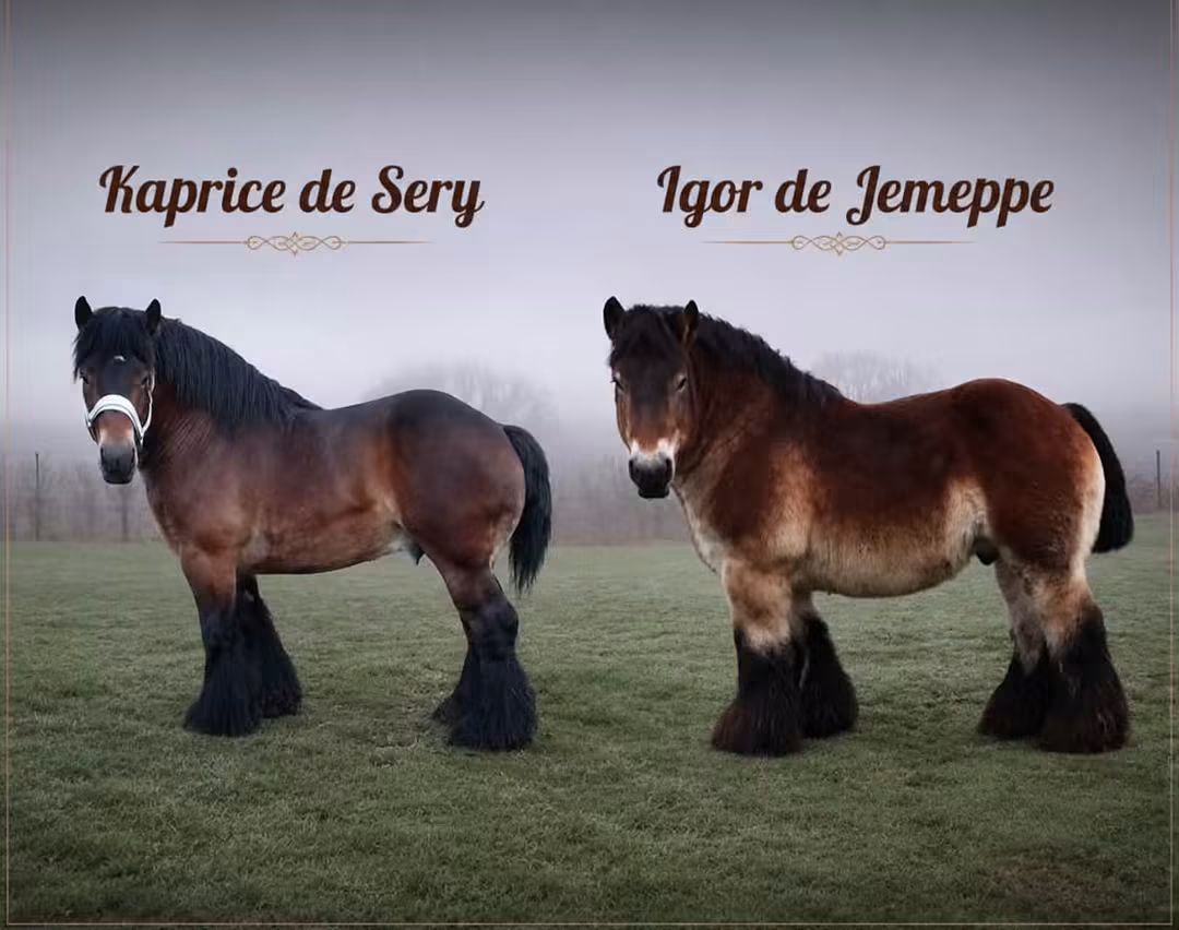 @🐴spartanu80🐴