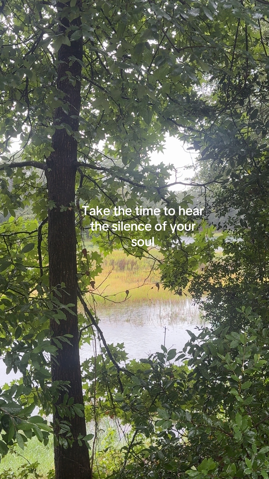 @graceinprogress365
