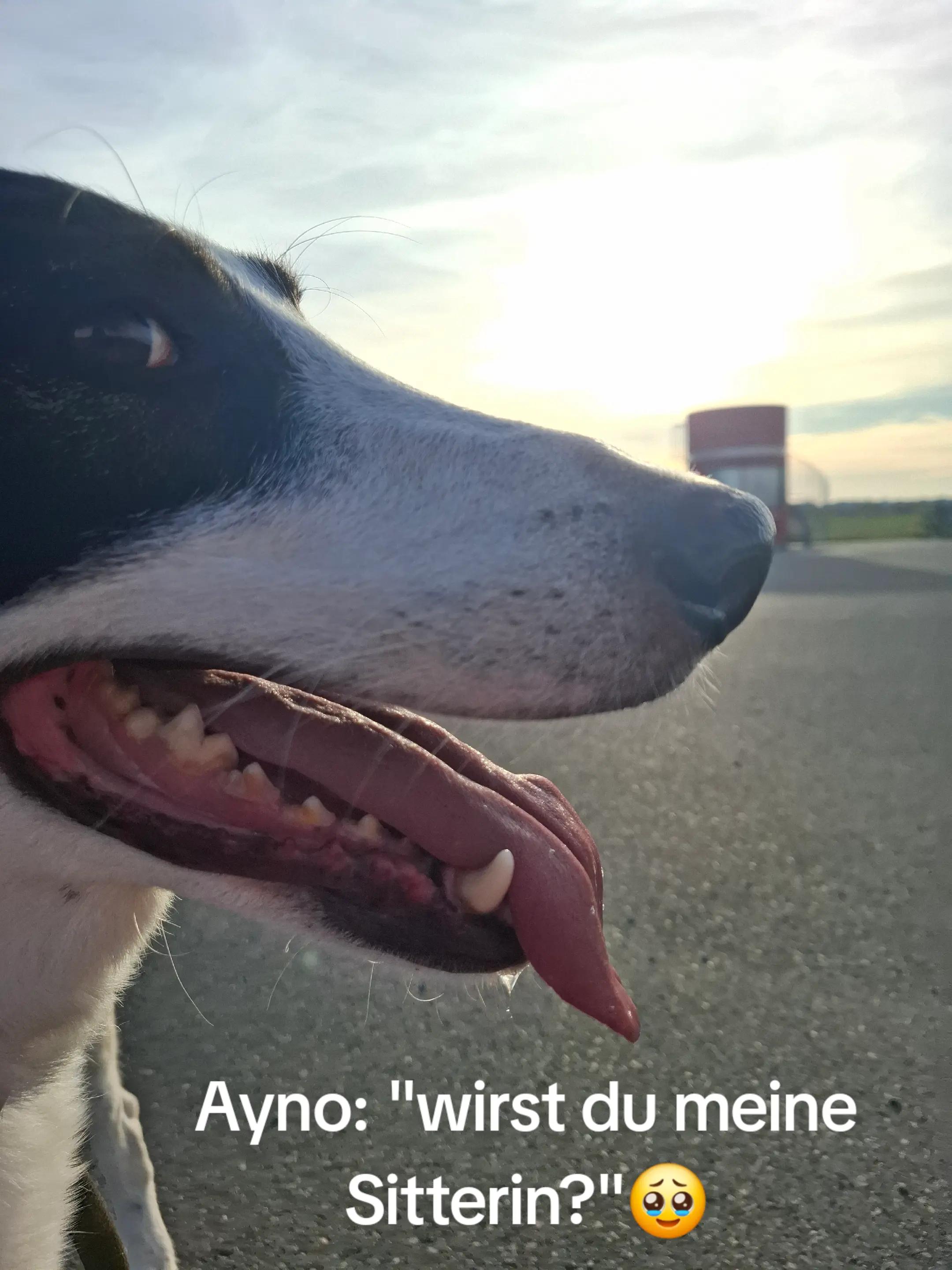 @Anja