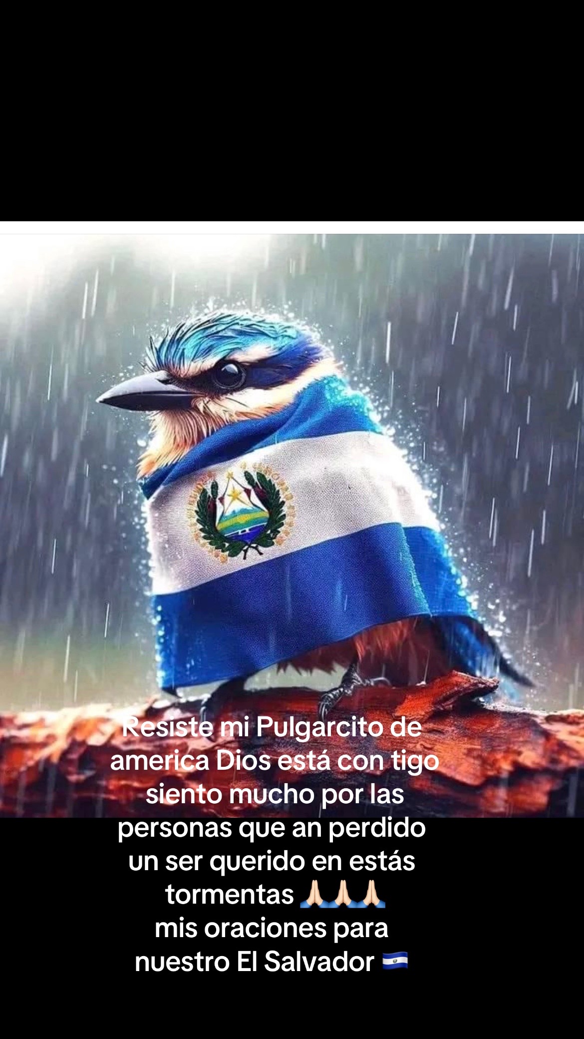 @Cristina