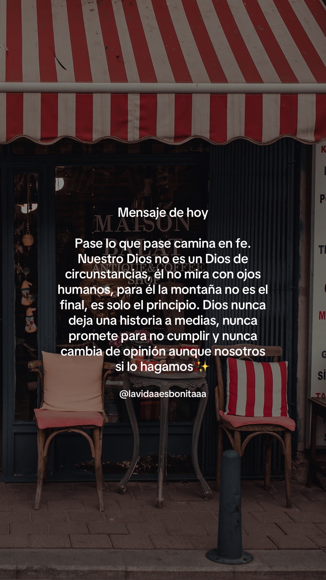 @vidabonita❤️&zwj;🩹