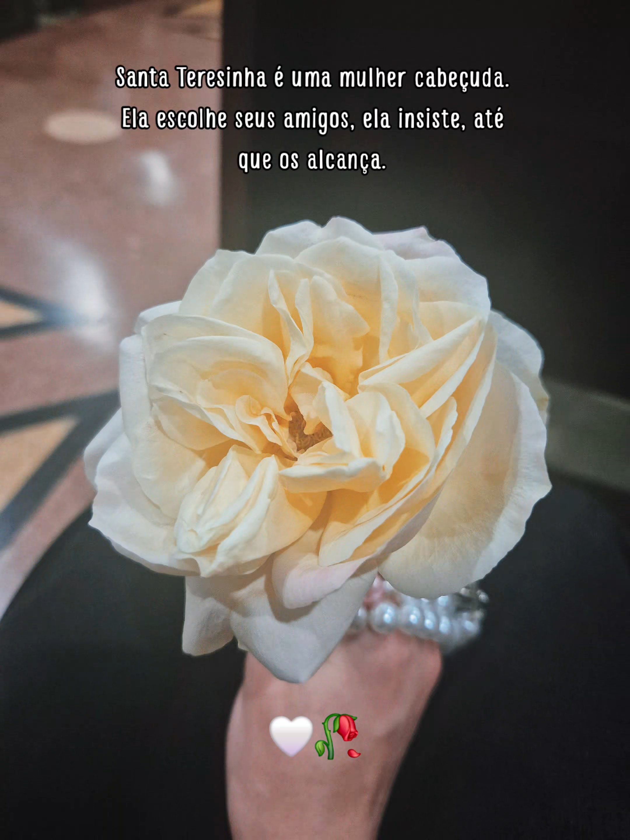 @Dani