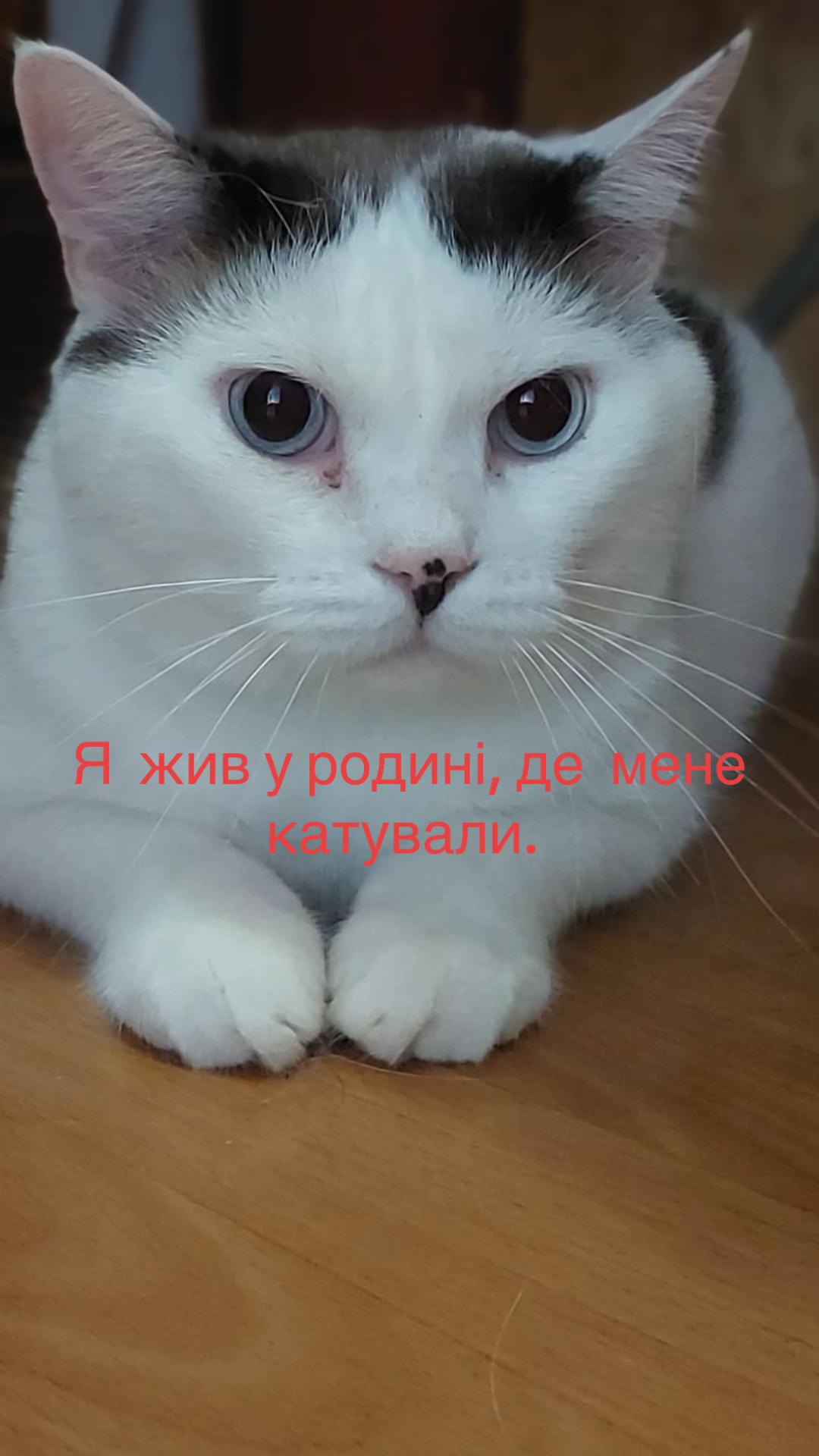 @Алиса