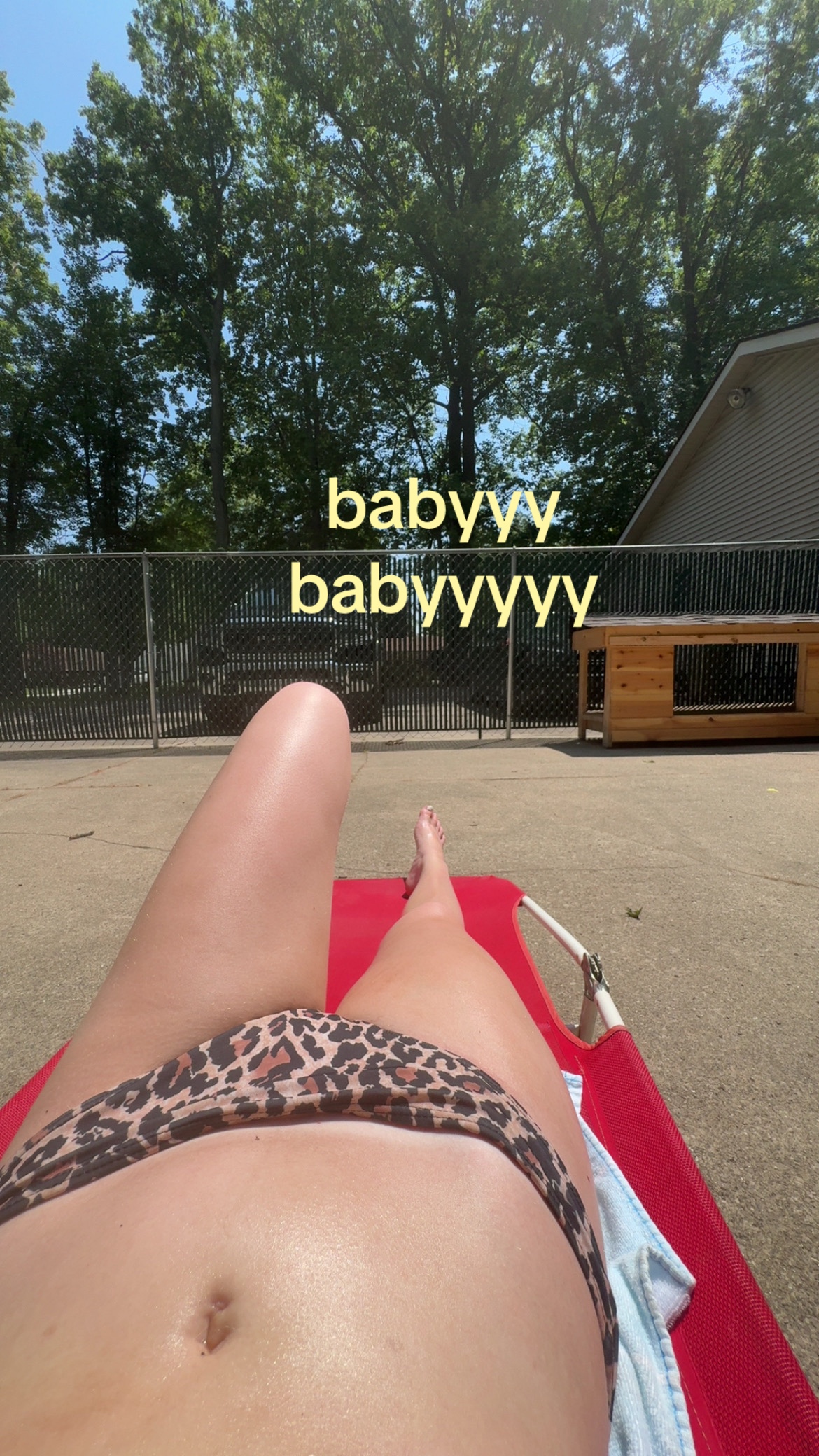 @🦓