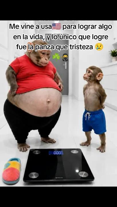 @payasito ☘️🥷🇱🇷🇬🇹