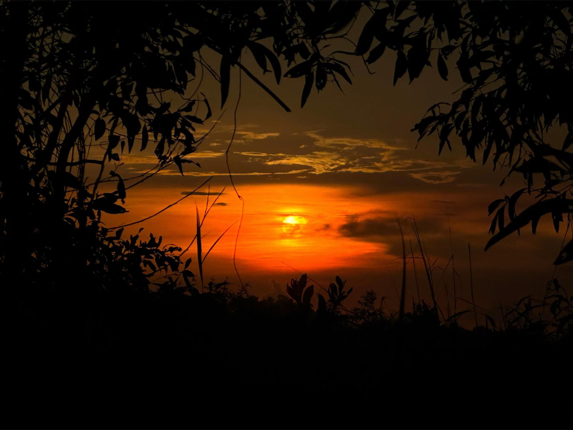 @srijananii