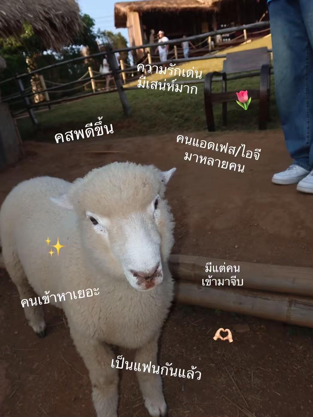 @อะเดย์ที่ชอบมู 🌥🌷