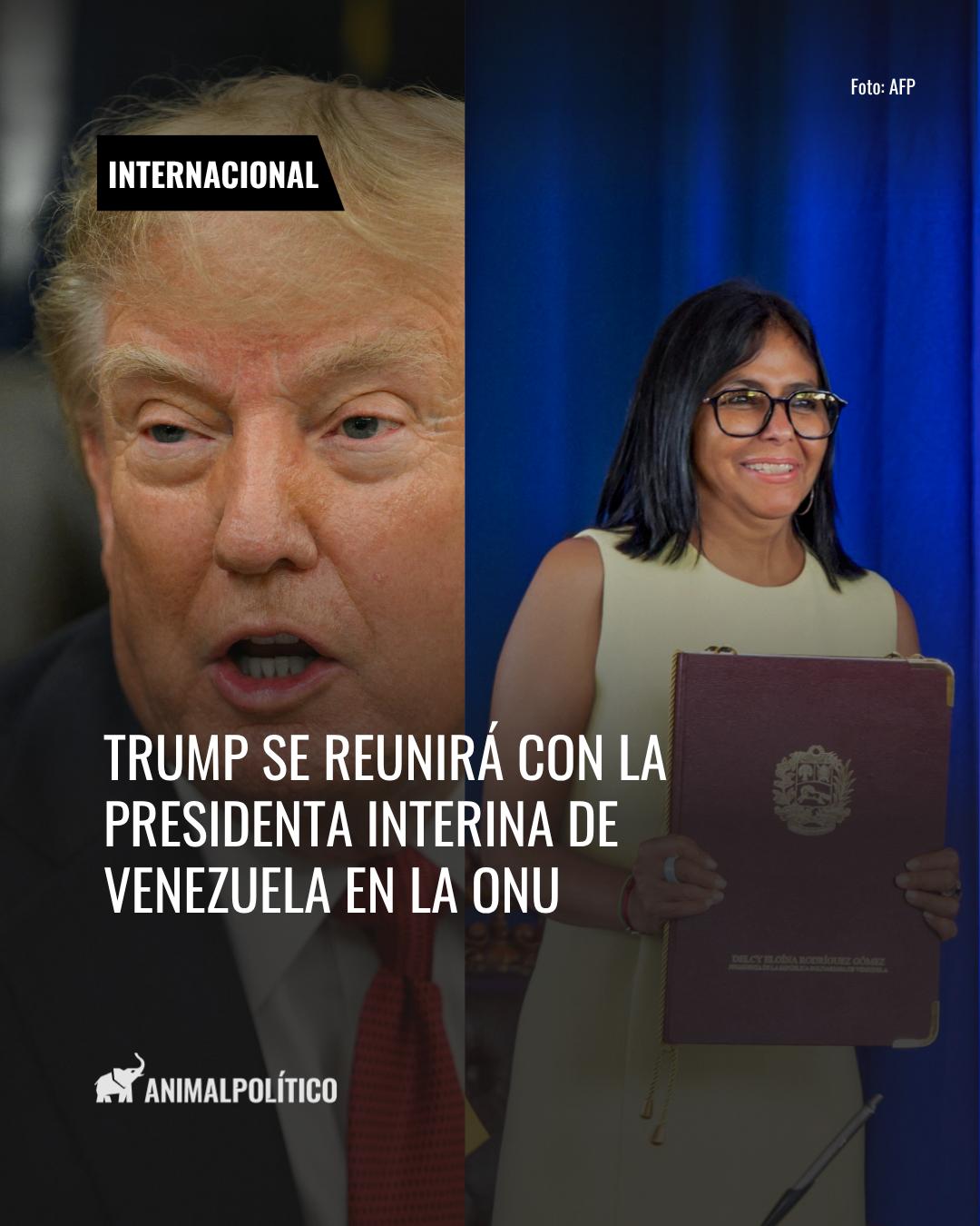 @animalpoliticomx