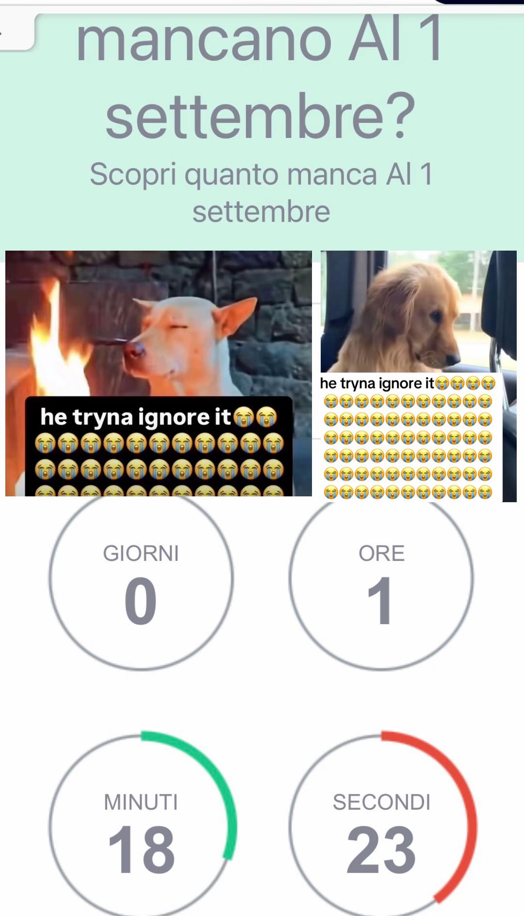 @141414