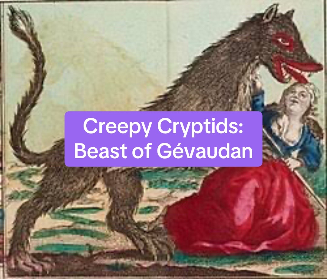 @Cryptid Cat