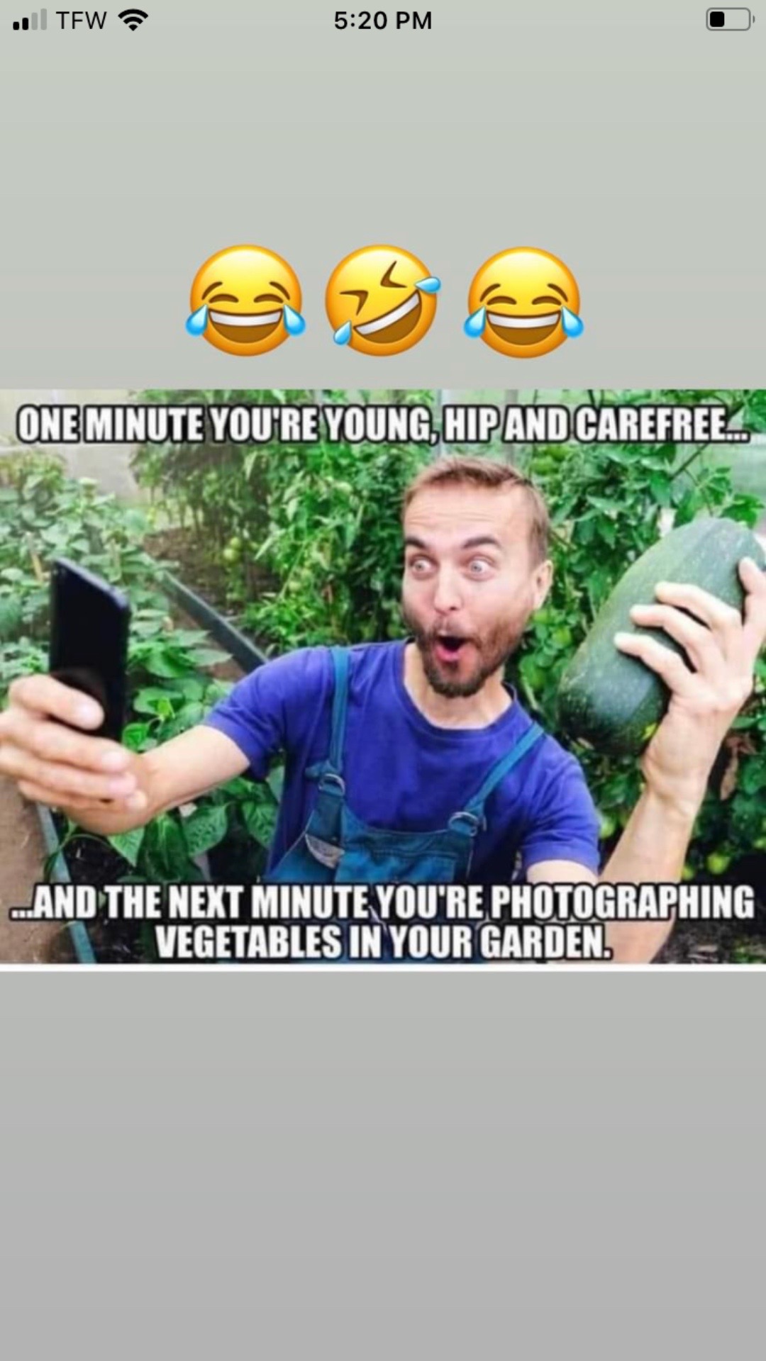 @determinedcyster