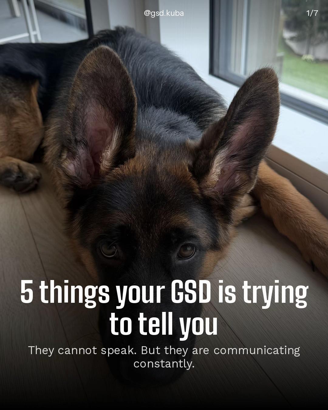@gsd.kuba