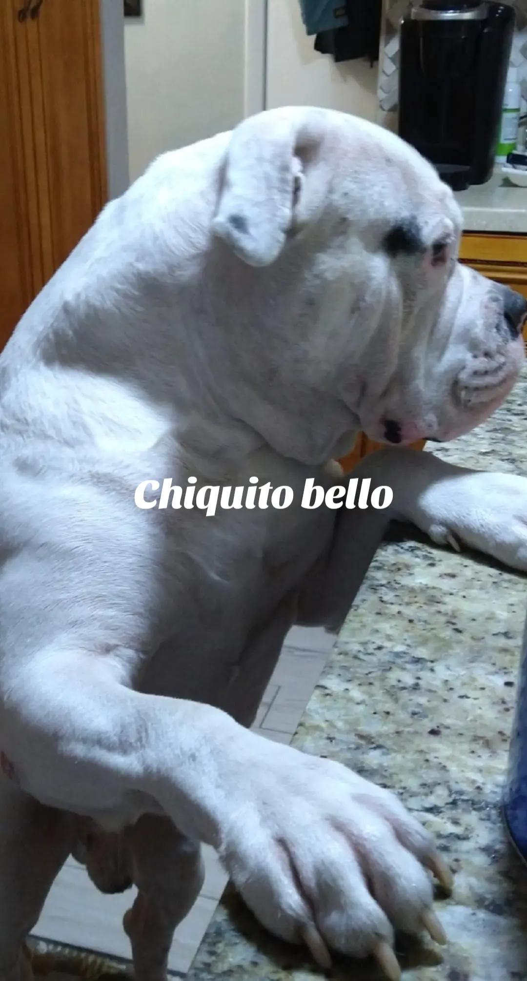 @Elizabeth Rivera