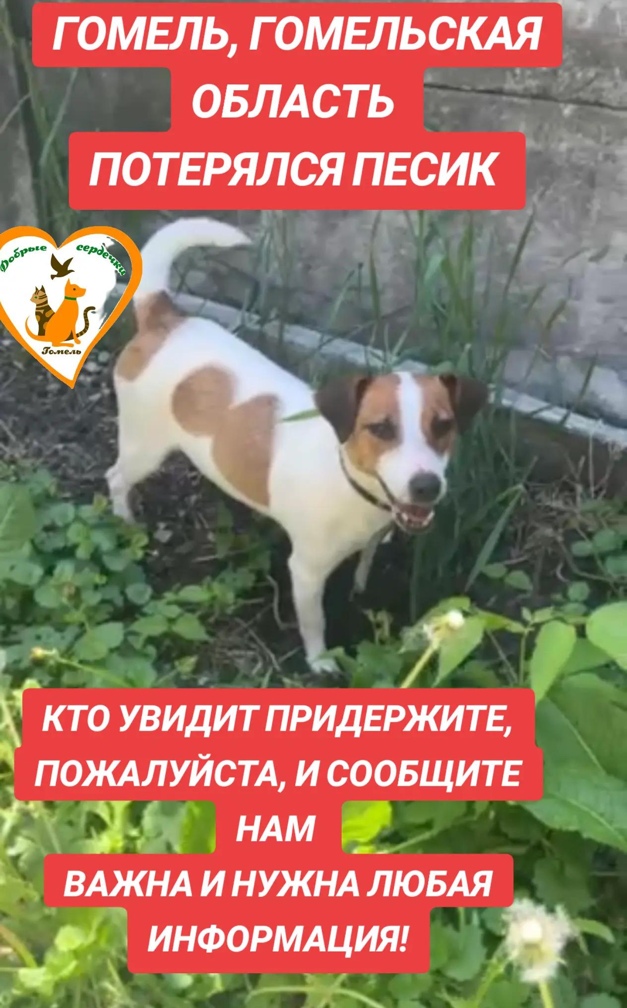 @Марина