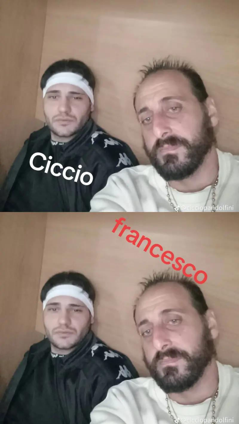 @ciccio-pandolfini