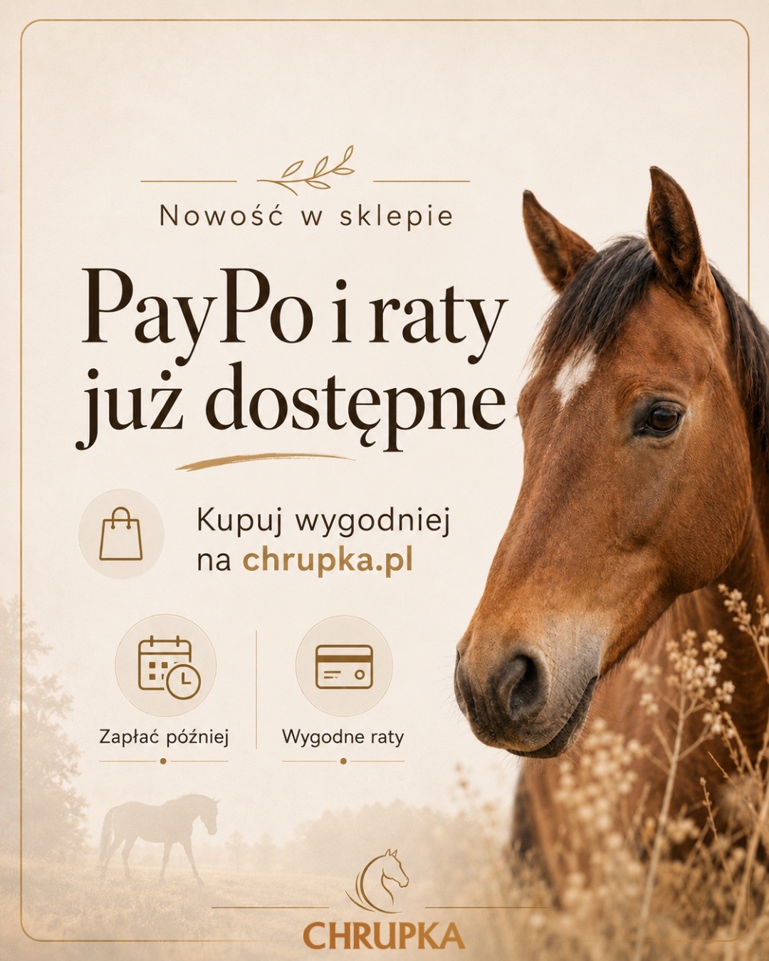@Chrupka