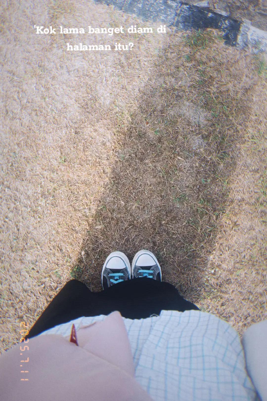 @Moon🌿