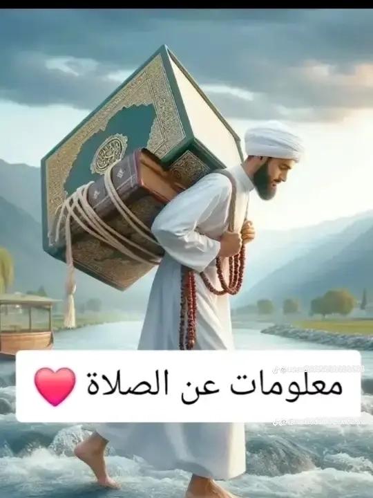 @احمد المسيري