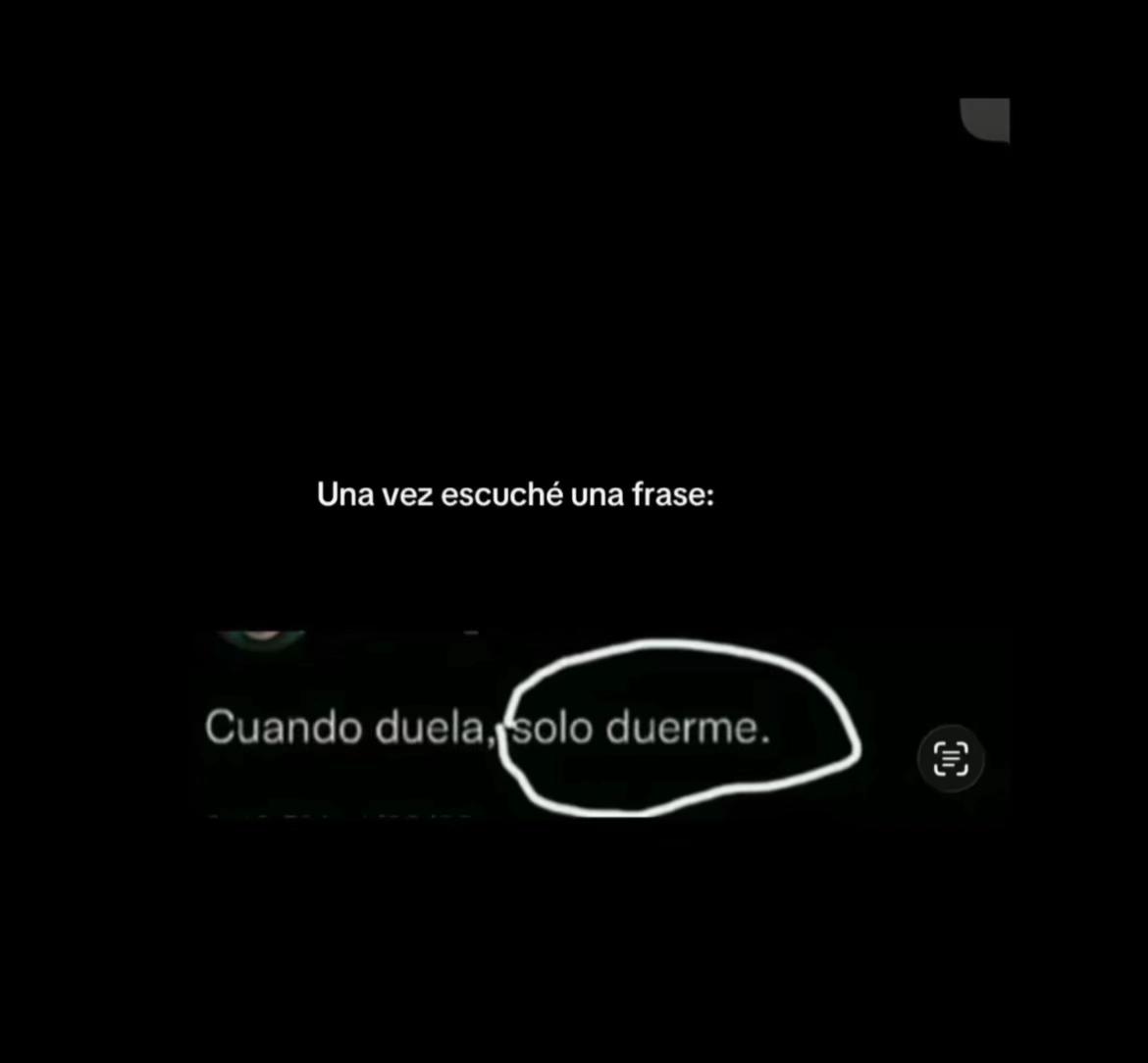 @esteefaniiiaa