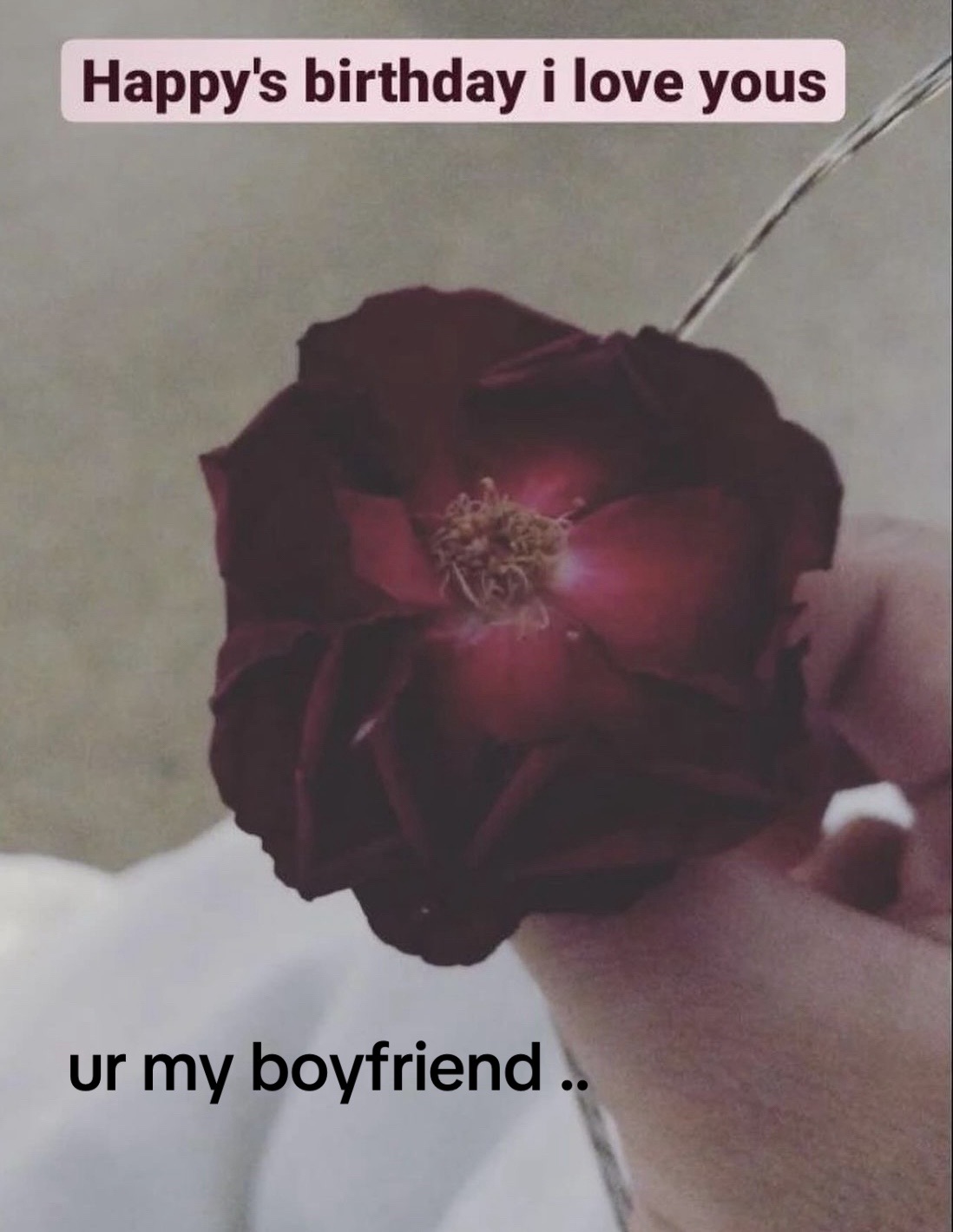 @ripxan0