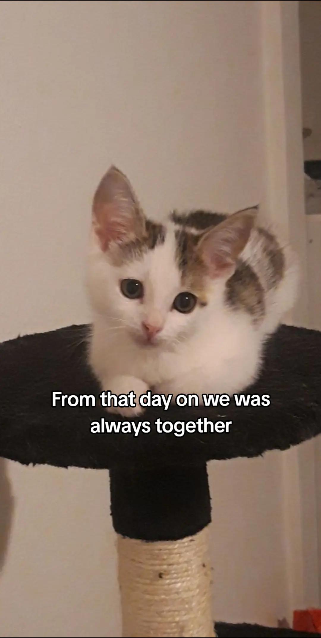 @sally punpun