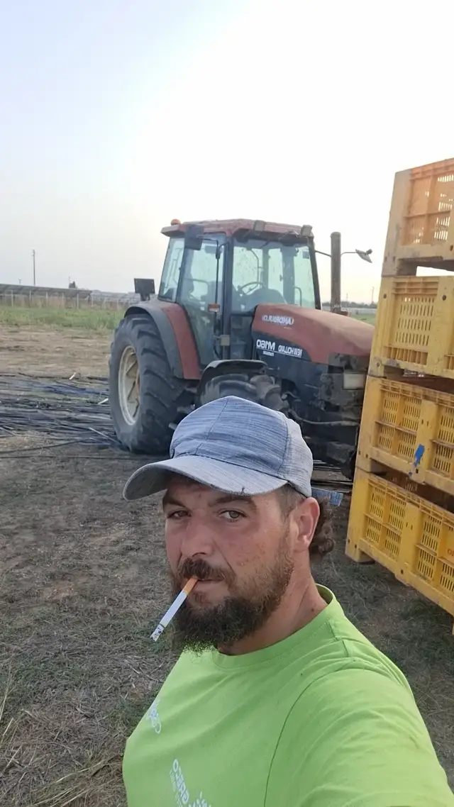 @Danilo Andrisano