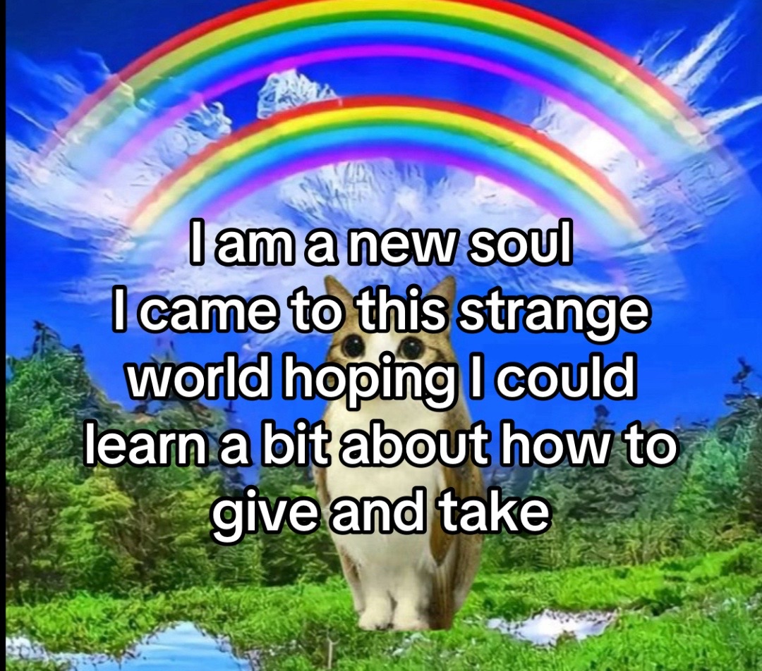 @Any meme