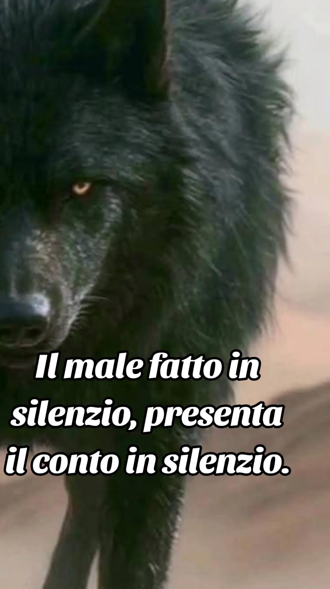 @๐บ๐ฝCrazy Wolf.