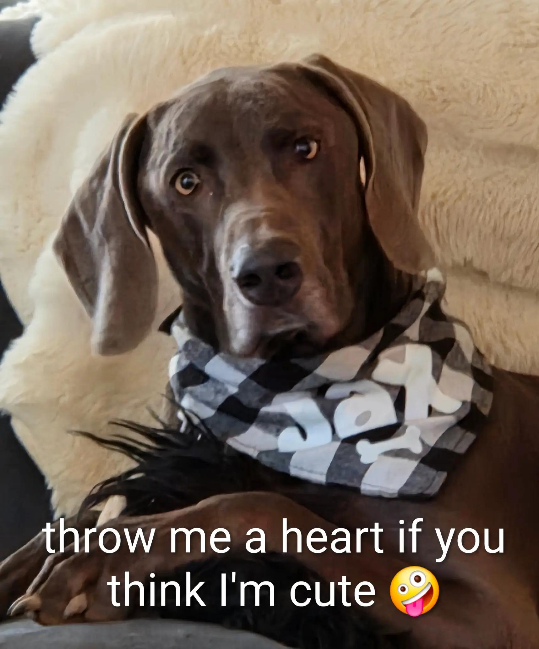 @sandyandjax437