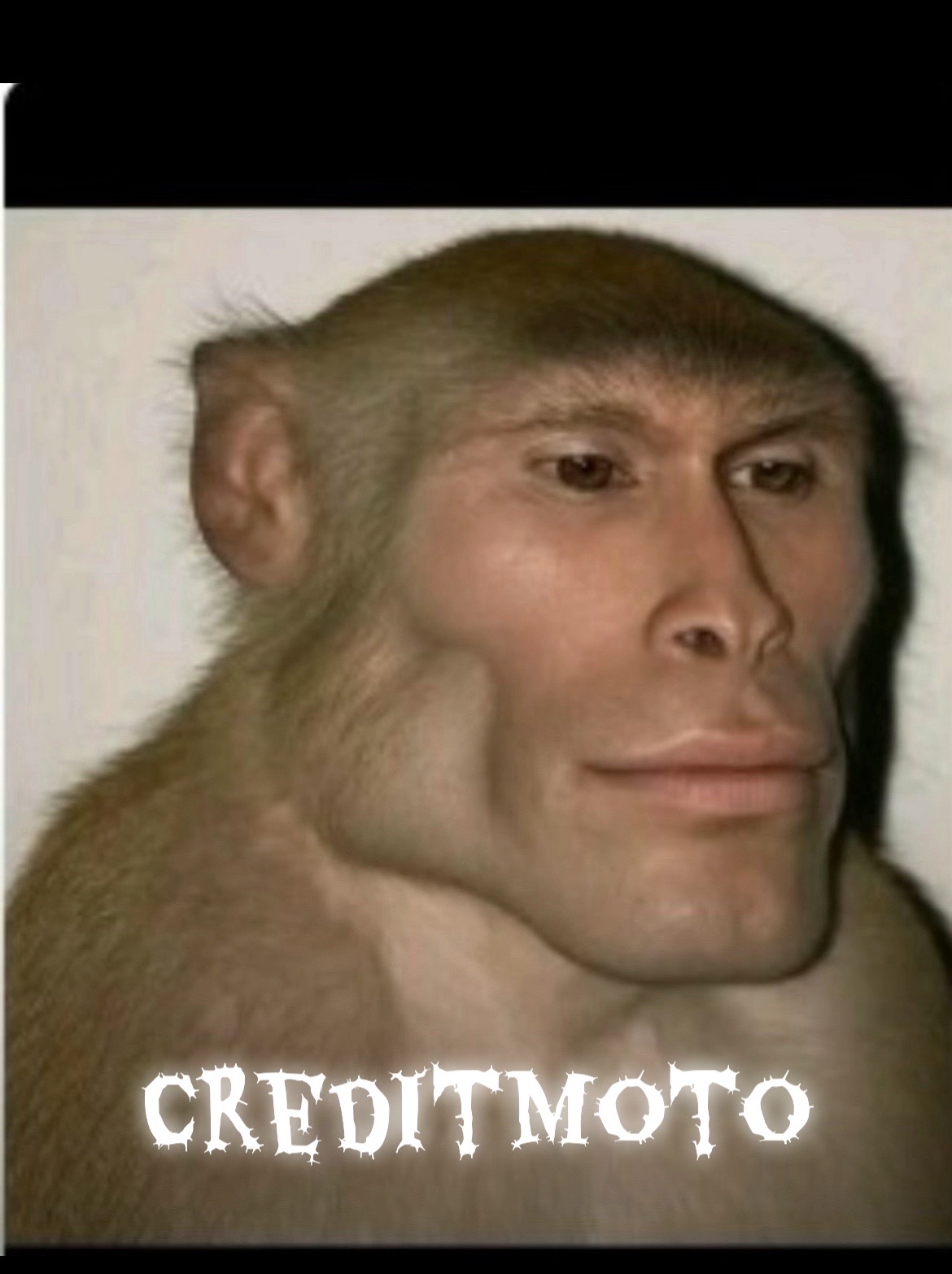 @Ali Froto