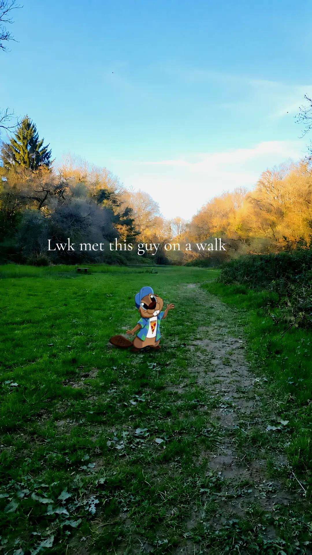 @⃟