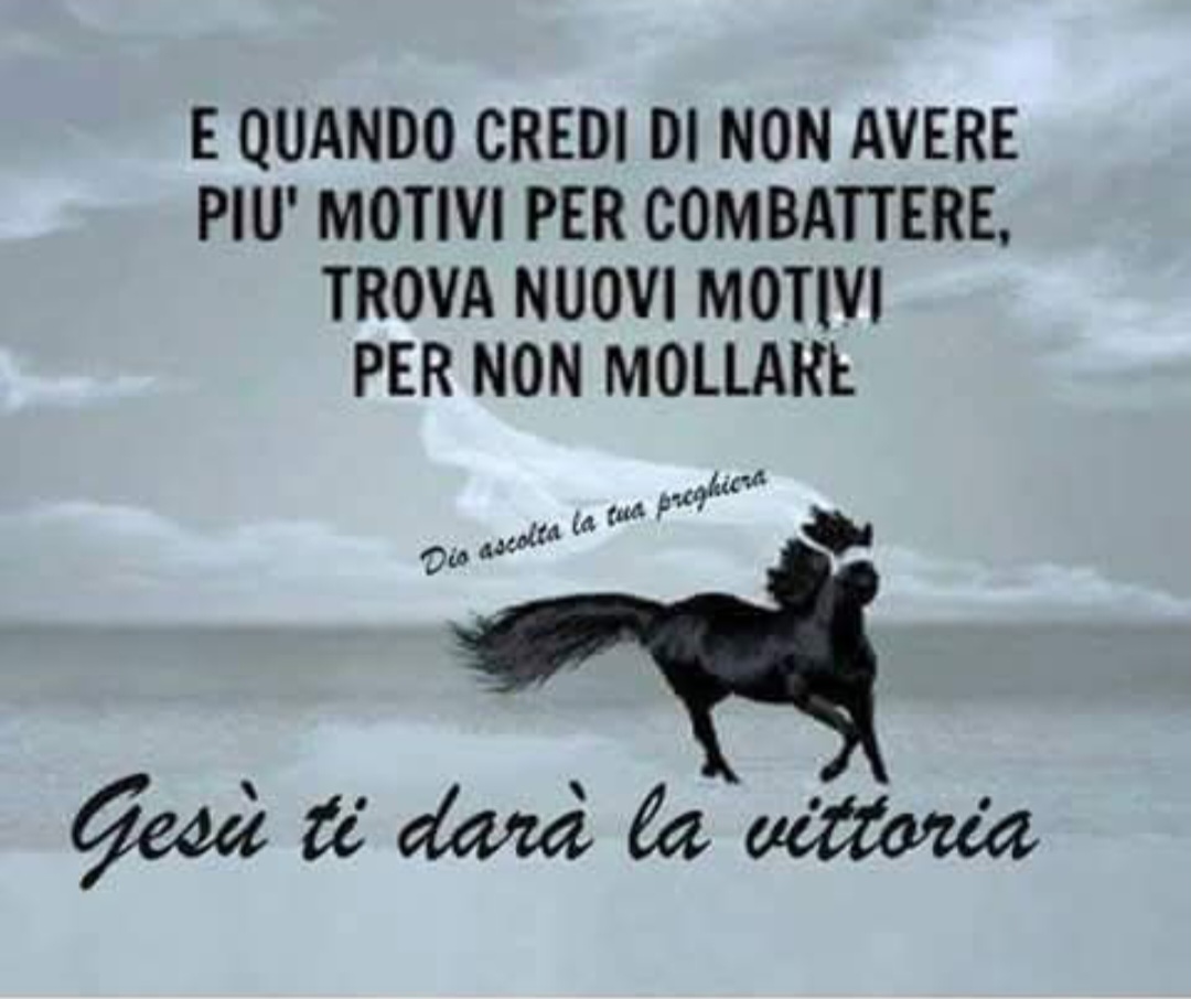@Luisa Guarino