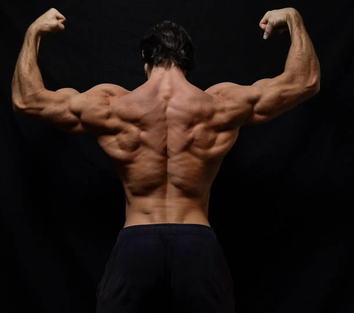 @beast.muscle.show